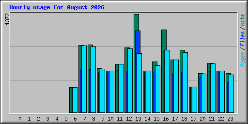Hourly usage for August 2026